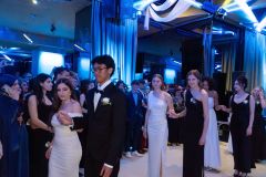 Schulball-501